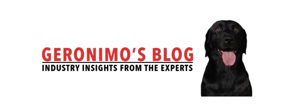 How to Put Out a Fire in a Fireplace Fireplace Concepts Inc